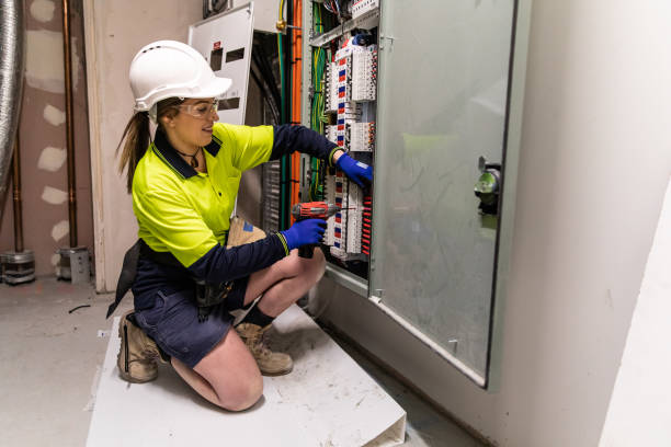 Best Electric Panel Repair  in Hamlin, WV