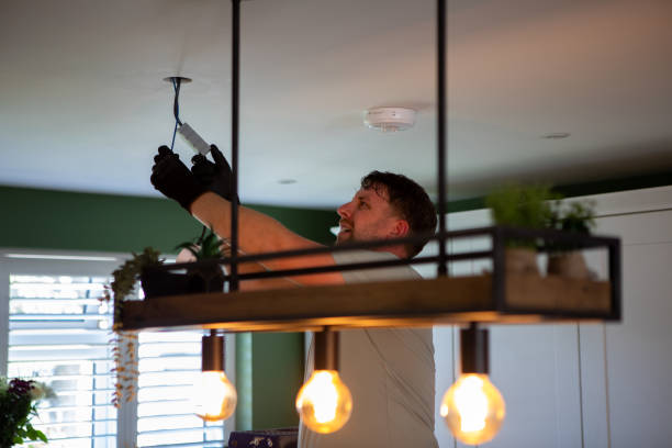 Best Generator Installation Services  in Hamlin, WV