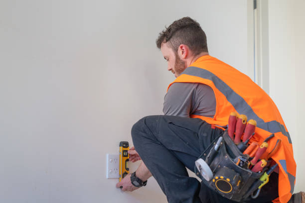 Best Electrical System Inspection  in Hamlin, WV